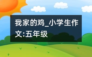 我家的雞_小學(xué)生作文:五年級