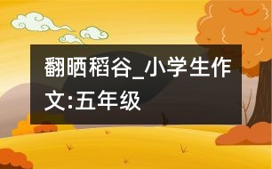 翻曬稻谷_小學生作文:五年級