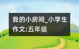 我的小房間_小學生作文:五年級