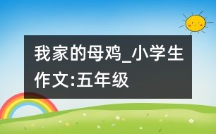 我家的母雞_小學(xué)生作文:五年級