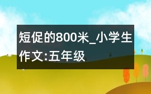 短促的800米_小學生作文:五年級