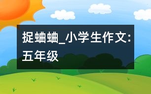 捉蛐蛐_小學(xué)生作文:五年級(jí)