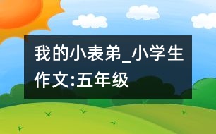 我的小表弟_小學(xué)生作文:五年級(jí)