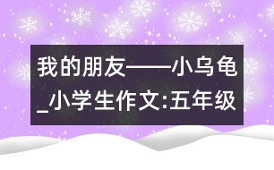 我的朋友――小烏龜_小學(xué)生作文:五年級(jí)