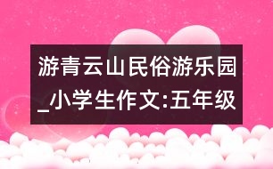 游青云山民俗游樂(lè)園_小學(xué)生作文:五年級(jí)