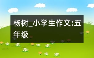 楊樹_小學(xué)生作文:五年級