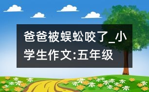 爸爸被蜈蚣咬了_小學(xué)生作文:五年級(jí)