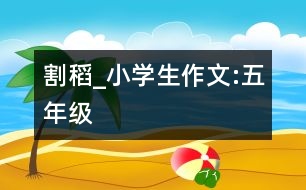 割稻_小學(xué)生作文:五年級(jí)