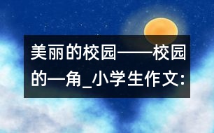 美麗的校園――校園的―角_小學(xué)生作文:五年級(jí)