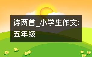 詩兩首_小學(xué)生作文:五年級