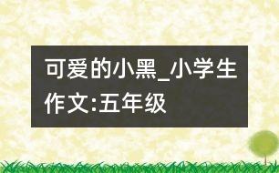 可愛(ài)的小黑_小學(xué)生作文:五年級(jí)