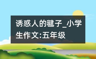 誘惑人的毽子_小學生作文:五年級