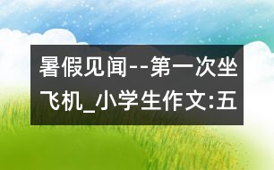 暑假見聞--第一次坐飛機_小學生作文:五年級