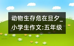 動物生存危在旦夕_小學(xué)生作文:五年級