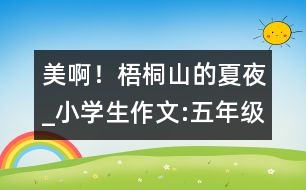 美??！梧桐山的夏夜_小學(xué)生作文:五年級