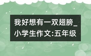 我好想有一雙翅膀_小學(xué)生作文:五年級(jí)