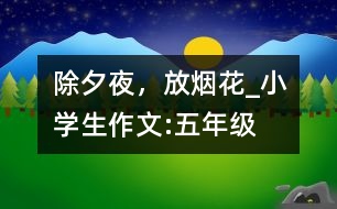 除夕夜，放煙花_小學(xué)生作文:五年級(jí)