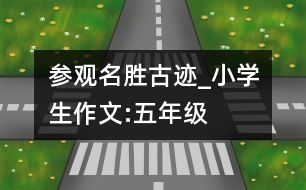 參觀名勝古跡_小學(xué)生作文:五年級