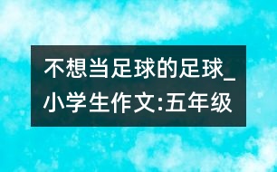 不想當(dāng)足球的足球_小學(xué)生作文:五年級(jí)