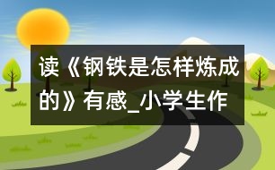 讀《鋼鐵是怎樣煉成的》有感_小學(xué)生作文:五年級(jí)