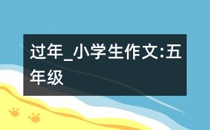 過(guò)年_小學(xué)生作文:五年級(jí)