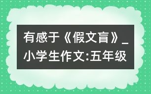 有感于《假文盲》_小學生作文:五年級