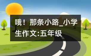 哦！那條小路_小學(xué)生作文:五年級(jí)