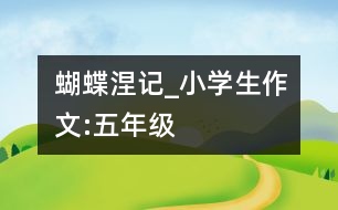 蝴蝶涅記_小學(xué)生作文:五年級