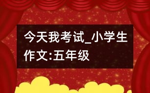 今天,我考試_小學生作文:五年級