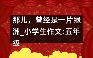 那兒，曾經(jīng)是一片綠洲_小學(xué)生作文:五年級(jí)