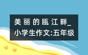 美 麗 的 甌 江 畔_小學(xué)生作文:五年級(jí)