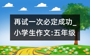 再試一次,必定成功_小學生作文:五年級