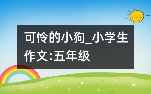 可憐的小狗_小學生作文:五年級