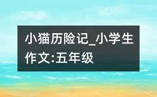 小貓歷險(xiǎn)記_小學(xué)生作文:五年級(jí)