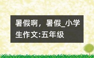 暑假啊，暑假_小學(xué)生作文:五年級(jí)