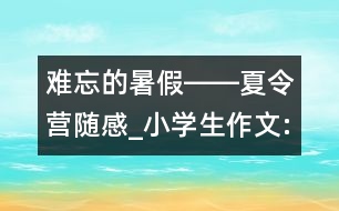 難忘的暑假――夏令營隨感_小學(xué)生作文:五年級