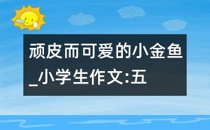 “頑皮”而可愛的小金魚_小學生作文:五年級