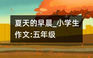 夏天的早晨_小學(xué)生作文:五年級(jí)