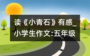 讀《小青石》有感_小學(xué)生作文:五年級(jí)