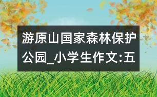 游原山國家森林保護公園_小學(xué)生作文:五年級