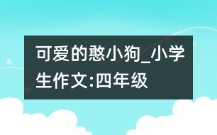 可愛的憨小狗_小學生作文:四年級