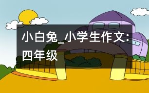 小白兔_小學(xué)生作文:四年級