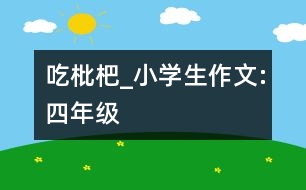 吃枇杷_小學(xué)生作文:四年級(jí)