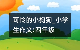 可憐的小狗狗_小學生作文:四年級