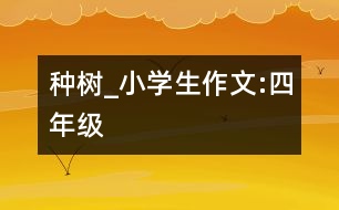 種樹_小學(xué)生作文:四年級