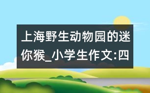 上海野生動物園的迷你猴_小學(xué)生作文:四年級