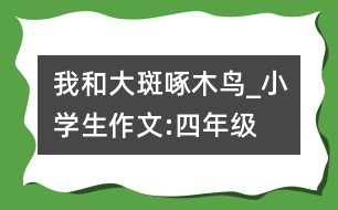 我和大斑啄木鳥(niǎo)_小學(xué)生作文:四年級(jí)