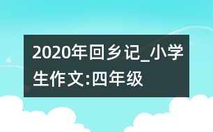 2020年回鄉(xiāng)記_小學(xué)生作文:四年級