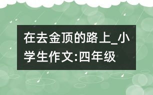 在去“金頂”的路上_小學(xué)生作文:四年級