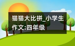 貓貓大比拼_小學(xué)生作文:四年級